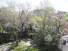 photo10