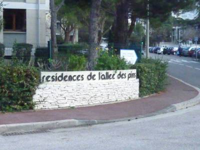 allée 1 compressée
