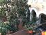 IMG-20200125-WA0000