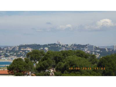 IMGP0244
