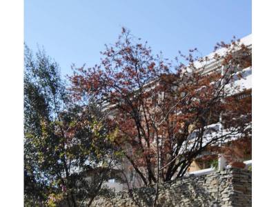 DSC_0124 (2)