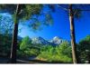 Les Accates - Massif du Garlaban (Vue 4)