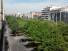 Vue sur la rue 2