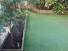 jardin 2