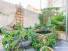 Terrasse 2
